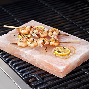 Salt Plates